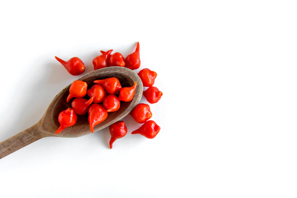 wooden spoon with biquinho peppers brazilian sweet pepper capsicum chinense isolated white background